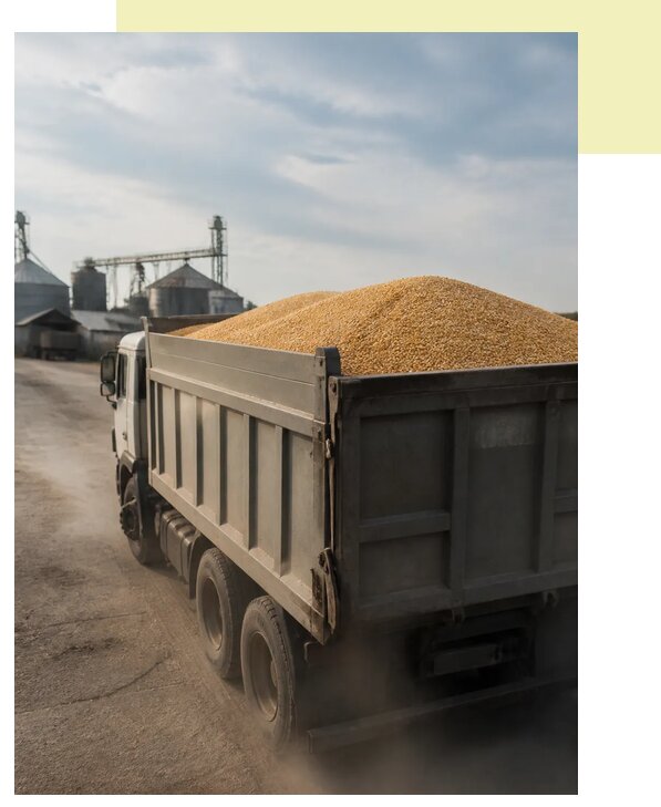 Перевозка сельхозпродукции навалом в Дивногорск по цене от 3033 р. | Агросервис-Двн